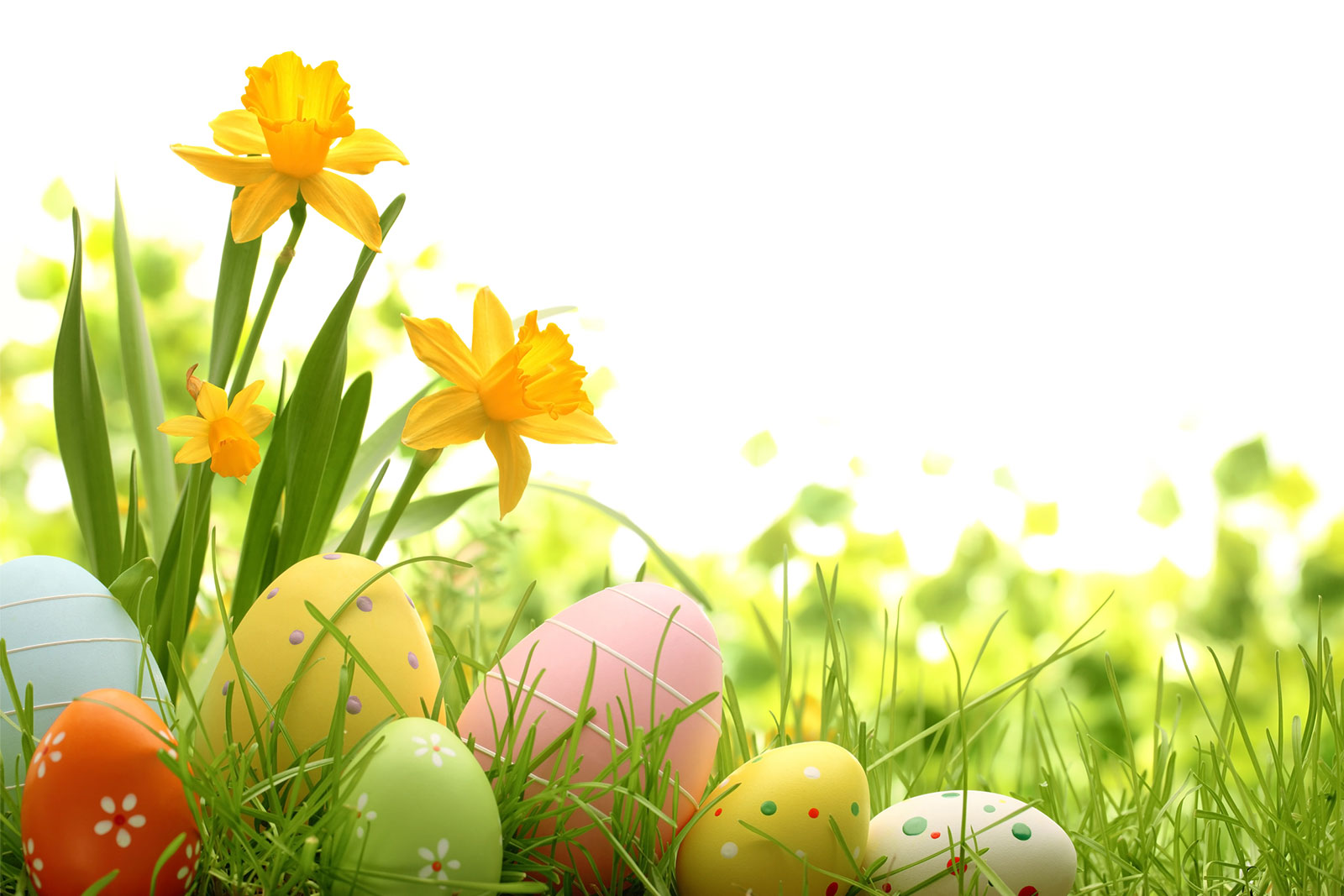 HOFGUT DIPPELSHOF HOTEL- UND RESTAURANT KG